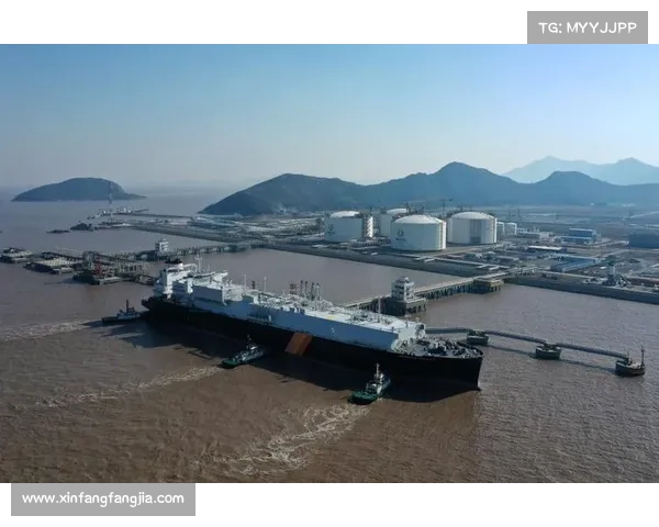 战胜卡塔尔的八大关键因素分析：策略、技术与心理素质的全面制胜之道